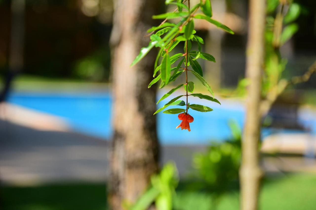 Bed & Breakfast Do Arraial